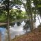 Delaware River Island Downstream