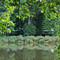 Lagoon at Washington Crossing Historic Park from Delaware Canal towpath