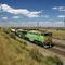 Diesel locomotive 2TE116-861/666 with train