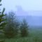 Blue fog. Синий туман