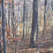 Assunpink Wildlife Management Area