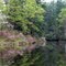 spring..!!!green..!!! water...!!! save the earth