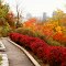 L'automne en ville