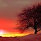 Cold sundown