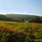Merrill Creek