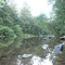 The Steklyanuha river