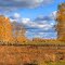 Осенняя зарисовка. Autumn sketch.