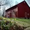 Yellow flowers and a red barn