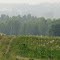 Неизведанные дорожки от Маяка до Рощинского