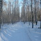 Лыжня на лыжной базе Гениралиха