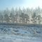 Siberia Air