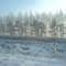 Siberian air