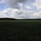 FIELD