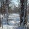 Delaware and Raritan Canal, Manville, NJ January 12th, 2011