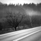 Road