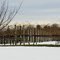 Wintertime Vineyards at Silver Decoy Winery