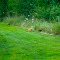 Cat in wooded area of Etra Park