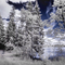 IR-Vision