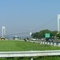 Verrazano Bridge