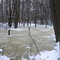High Rock Park, Staten Island, in the winter [000404]