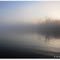 Cobweb morning
