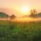 fog of morning