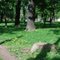 Palevsky Garden