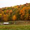 Autumn Hillside