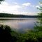 Beaver Dam Swans