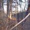 Muttontown Preserve