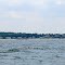 Oyster Bay