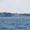 Oyster Bay