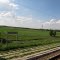 О.п. Кубанец
