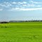Русское поле........Russian field. 26.10.2011 г.