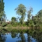 Река Афипс. Утро
