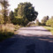Merevo_vid_ot_alei_2001