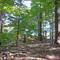 Major Welch trail
