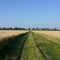 Дорога