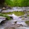Mimico Creek in Spring - May  in Jeff Healey Park