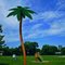 Palm Tree in Etobicoke - Fairfield Park