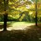 High Park, 3 Dots (1967) - October (well before dot.com era) by Menashe Kadishman