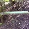 FLT CT04 8.0 mi - Primitive bench