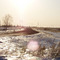 дорога (the road)
