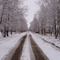 зимняя дорога (winter road)