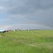 Логовушка после грозы, 07.2011