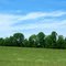 Farm fields of trout Creek