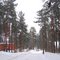 Петровское, т/б "Связист".