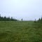 silience