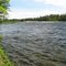 Река Умба: пороги, деревья на берегу / Umba River: Rapids and Trees on the Sides
