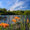 The Floral Landscape